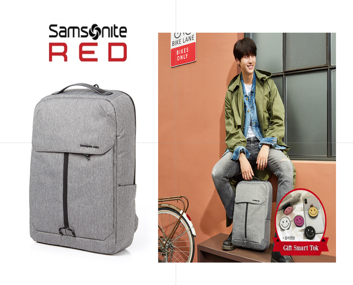samsonite fratic